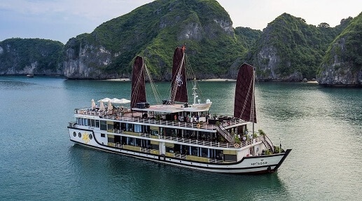 Orchid Boat Cruises