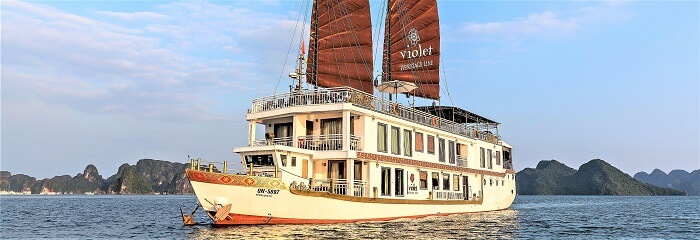 Violet Boat Cruises