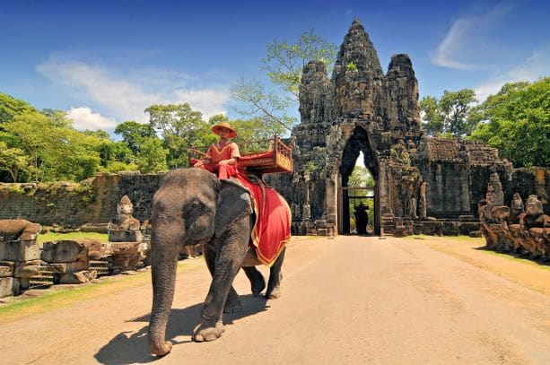 Ride Elephants (Option — Angkor Mahout Academy)
