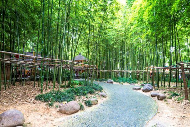 72 Hours In Shanghai