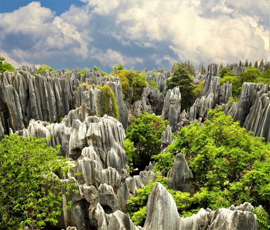 Ancient Countryside