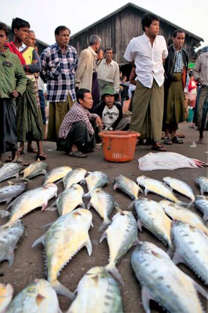 Culture Of Rakhine