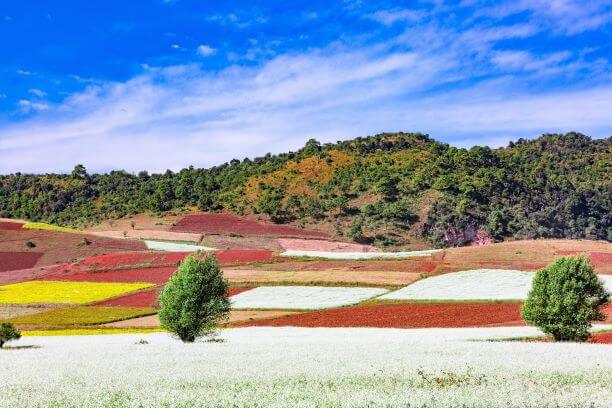 Myanmar River Cruise & Trekking