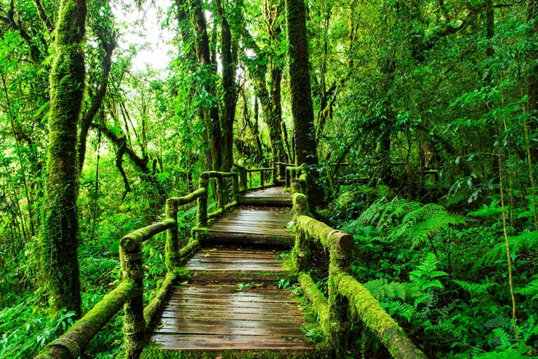 Michael’s Trail