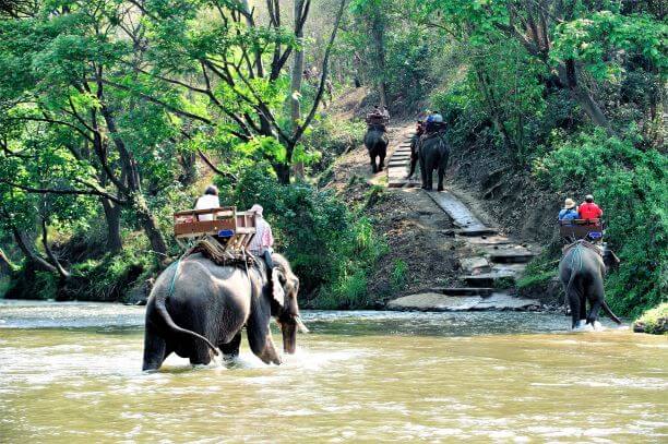 Chiang Dao Elephant Camp