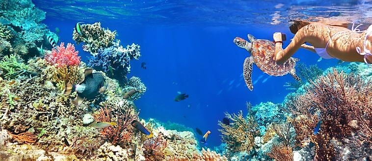 Diving, Snorkeling, And Kayaking